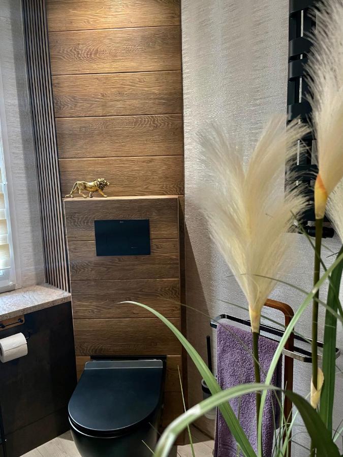 Appartamento Pod Lwem Koscierzyna Esterno foto