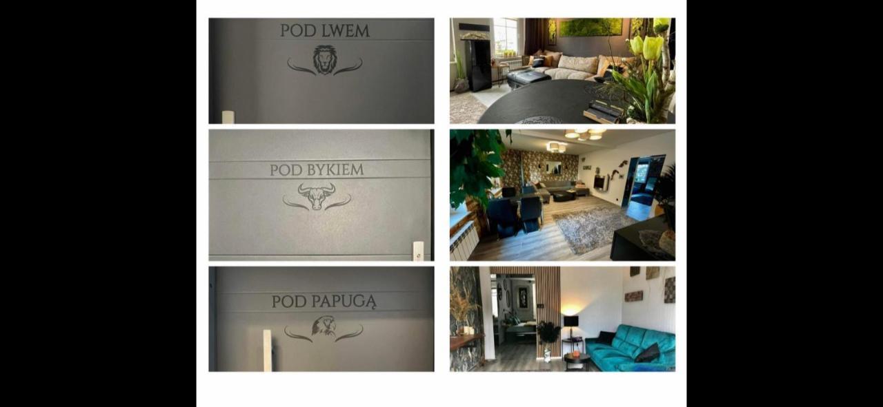 Appartamento Pod Lwem Koscierzyna Esterno foto